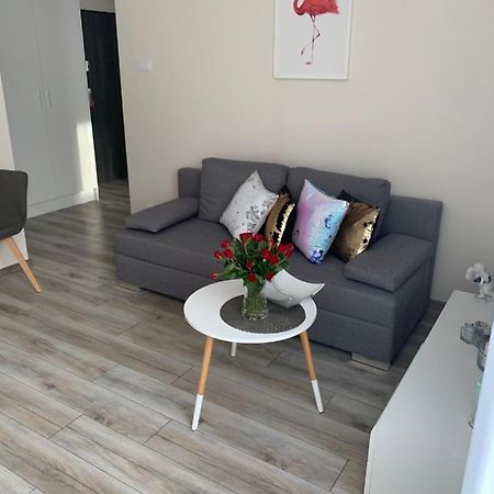 Apartament Walczaka 25 Miejsce Parkingowe 乔左维尔考普尔斯基 外观 照片